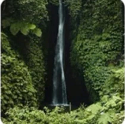 A waterfall falling through dense forest